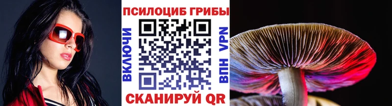 где найти наркотики  Нахабино  Псилоцибиновые грибы Magic Shrooms 